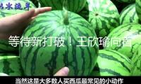 等待新打破！王欣瑜向首個WTA單打冠軍建議沖擊