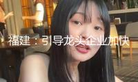 福建：引導(dǎo)龍頭企業(yè)加快布局氫能工業(yè)，加大對(duì)工業(yè)鏈配套企業(yè)支撐力度