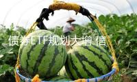 債券ETF規(guī)劃大增 信譽債產(chǎn)品成擴(kuò)容主力
