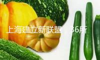 上海建立新聯(lián)盟，36所高校、4家企業(yè)成會員單位