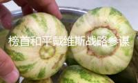 榜首和平戴維斯戰(zhàn)略參謀部董事朱曉茜：西岸最大化地容納所有人