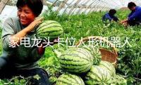 家電龍頭卡位人形機(jī)器人賽道 搶“入場券”還需閱歷長距離跑