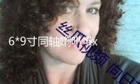 6*9寸同軸喇叭 6x9汽車音響 車載喇叭 汽車?yán)热l重低音橢圓形