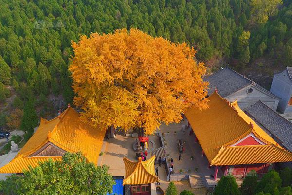 【孕婦可以吃哈密瓜嗎】龍盤科技AH股繼續(xù)大幅上漲
