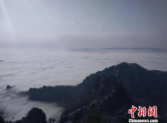 【51cg1.ct吃瓜】市價(jià)托付那么多種，終究怎樣用？