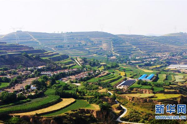 我國成功研發(fā)制造1250噸輪胎式搬梁機(jī)