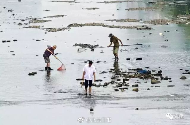 江蘇省法人試點組織落地 “中小微資金流”借款事務近億元