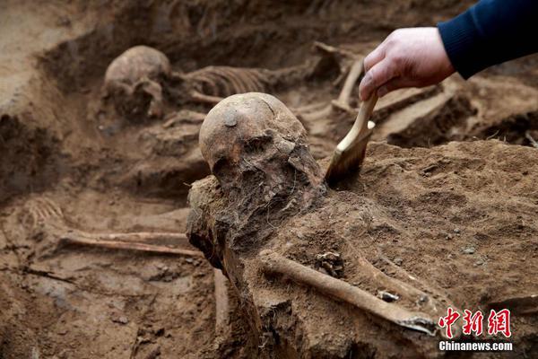 【免費爆料入口在哪里】我命運般的什么梗