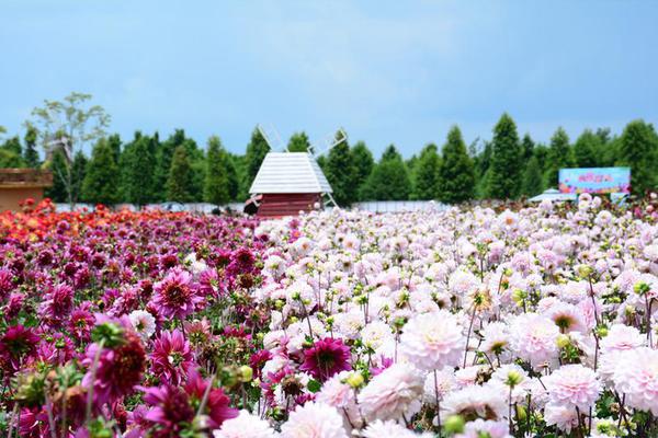 浙江：去年數(shù)字經(jīng)濟(jì)核心產(chǎn)業(yè)增加值增長(zhǎng)8%左右
