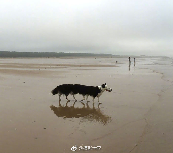 2024年京津冀文化和旅游產(chǎn)業(yè)投融資促進系列活動暨文化和旅游產(chǎn)業(yè)年會成功召開 附：第二十一屆「金枕頭」酒店業(yè)案例征集活動榜單