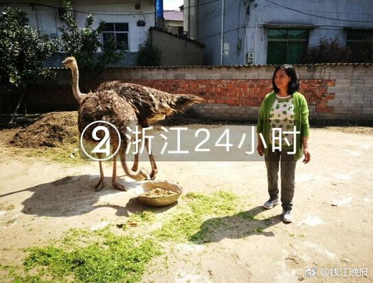 【免費(fèi)吃瓜爆料網(wǎng)站】部分北交所公司估計(jì)2024年成績(jī)大增