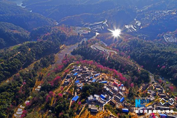 【51fun吃瓜站】以數(shù)智生態(tài)屏障守護綠水青山