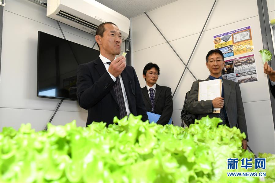 恒生指數(shù)低開0.67% 恒生科技指數(shù)跌0.8%