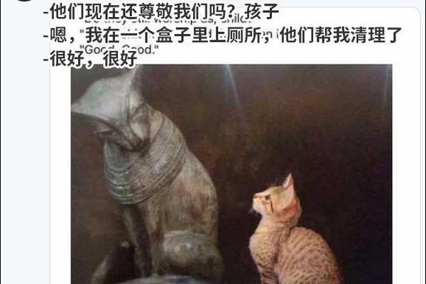 【吃瓜爆料黑料網(wǎng)站】美團(tuán)第三季度收入936億 調(diào)整和激活組織結(jié)構(gòu)的增量