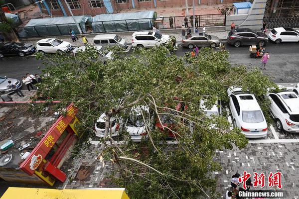 【暗黑爆料官方入口】多地門票、租車、線路游翻倍增加 廣州躋身假日前兩日旅行熱度前三 大年初一闔家同游 旅行商場全面開花