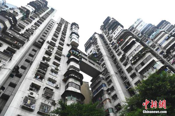 【吃瓜爆料黑料不打烊】公益福彩賦能綠美廣東