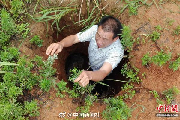 2024年北美放射學(xué)會(huì)年會(huì)，GE醫(yī)療攜多項(xiàng)創(chuàng)新成果參展