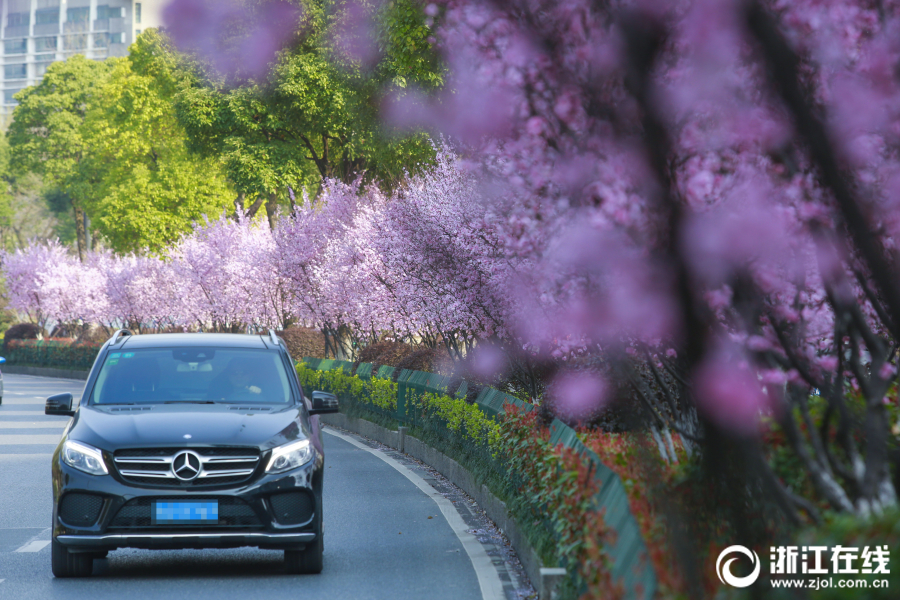 海爾想買(mǎi)一個(gè)汽車(chē)之家？消息人士表示，部分業(yè)務(wù)可能會(huì)被收購(gòu)