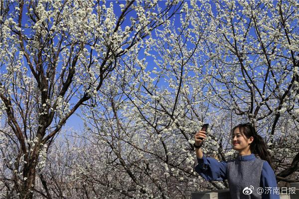 【黑暗視頻大全免費觀看】暴漲18.4%，何小鵬拉干18億