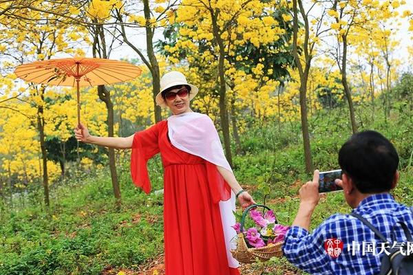 頭版頭條：進出口首超5500億元！外貿大區(qū)寶安如何修煉？