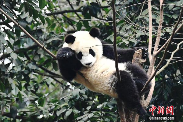 【黑料網(wǎng)-今日黑料】提早一年定制 銷(xiāo)量增加近40% 新中式服裝成“新年戰(zhàn)袍”頂流