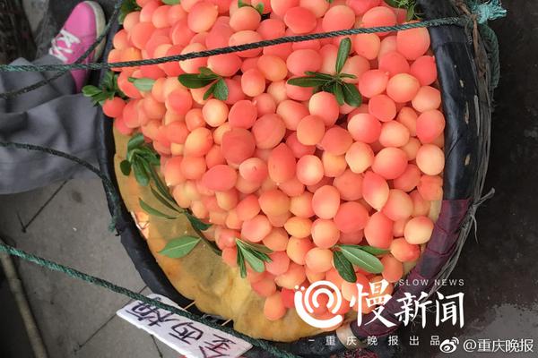 【17c紅桃國際】商用車出口持續(xù)增長 新能源成商場新動能